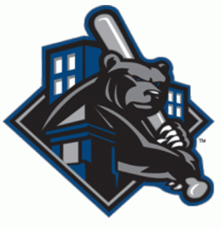 Newark Bears 2009-2010 Partial Logo iron on transfers for clothing